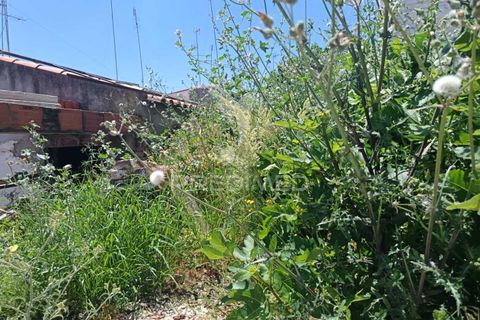 Byhus i Campo Maior, Portalegre, Campo Maior - € 56.160 | Ref: 053001 - foto 3