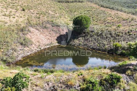 Helårsgrund i Ourique, Beja, Ourique - € 399.000 | Ref: 053144 - foto 5