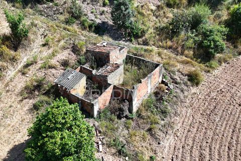Helårsgrund i Ourique, Beja, Ourique - € 399.000 | Ref: 053144 - foto 6