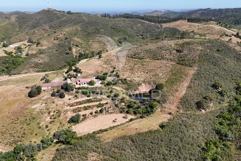 Helårsgrund i Ourique, Beja, Ourique - € 399.000 | Ref: 053144 - foto 11