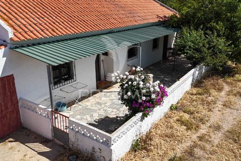 Helårsgrund i Ourique, Beja, Ourique - € 399.000 | Ref: 053144 - foto 13
