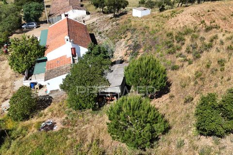 Helårsgrund i Ourique, Beja, Ourique - € 399.000 | Ref: 053144 - foto 14