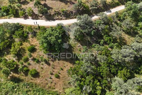 Helårsgrund i Ourique, Beja, Ourique - € 399.000 | Ref: 053144 - foto 17