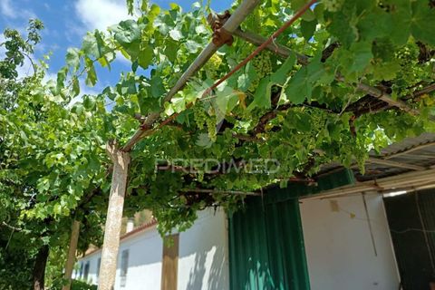 Farm hus i Almodovar, Beja, Almodovar - € 175.000 | Ref: 053633 - foto 5