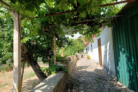 Farm hus i Almodovar, Beja, Almodovar - € 175.000 | Ref: 053633 - foto 17
