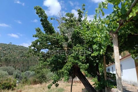 Farm hus i Almodovar, Beja, Almodovar - € 175.000 | Ref: 053633 - foto 19