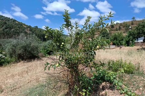 Farm hus i Almodovar, Beja, Almodovar - € 175.000 | Ref: 053633 - foto 21