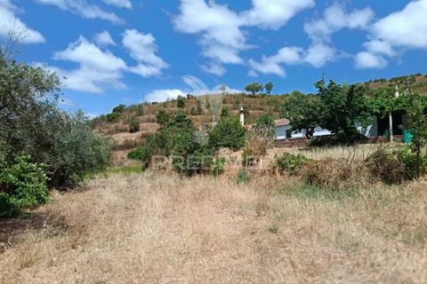 Farm hus i Almodovar, Beja, Almodovar - € 175.000 | Ref: 053633 - foto 23