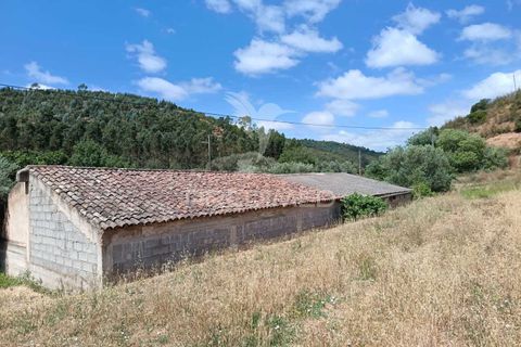 Farm hus i Almodovar, Beja, Almodovar - € 175.000 | Ref: 053633 - foto 28