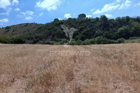 Farm hus i Almodovar, Beja, Almodovar - € 175.000 | Ref: 053633 - foto 29