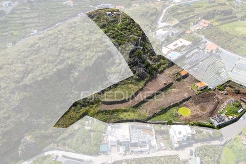 Byhus i Ribeira Brava, Madeira, Ribeira Brava - € 1.200.000 | Ref: 053643 - foto 11