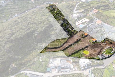 Byhus i Ribeira Brava, Madeira, Ribeira Brava - € 1.200.000 | Ref: 053643 - foto 14