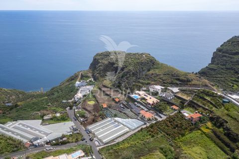 Byhus i Ribeira Brava, Madeira, Ribeira Brava - € 1.200.000 | Ref: 053643 - foto 17