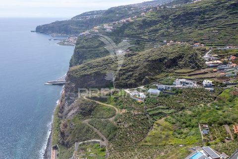Byhus i Ribeira Brava, Madeira, Ribeira Brava - € 1.200.000 | Ref: 053643 - foto 23