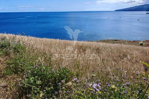 Helårsgrund i Machico, Madeira, Machico - € 290.000 | Ref: 053814 - foto 4