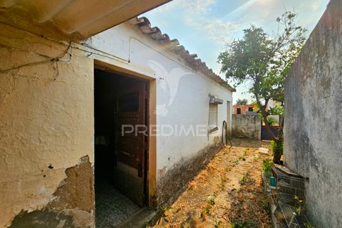 Byhus i Aljustrel, Beja, Aljustrel - € 90.000 | Ref: 053819 - foto 14