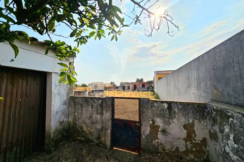 Byhus i Aljustrel, Beja, Aljustrel - € 90.000 | Ref: 053819 - foto 16