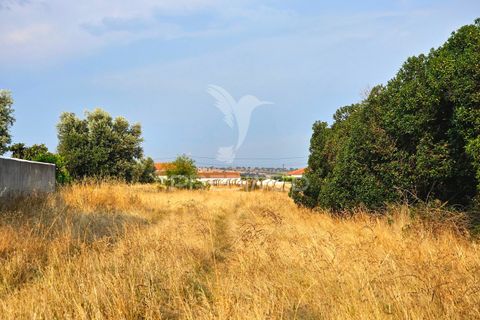 Byhus i Aljustrel, Beja, Aljustrel - € 90.000 | Ref: 053819 - foto 20