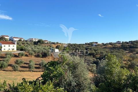 Byhus i Alandroal, Evora, Alandroal - € 129.000 | Ref: 053922 - foto 3