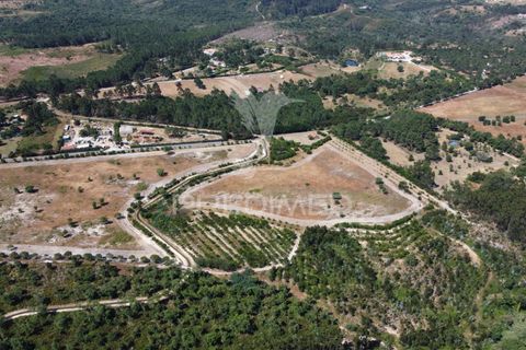Helårsgrund i Odemira, Beja, Odemira - € 798.000 | Ref: 053925 - foto 6