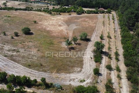 Helårsgrund i Odemira, Beja, Odemira - € 798.000 | Ref: 053925 - foto 1