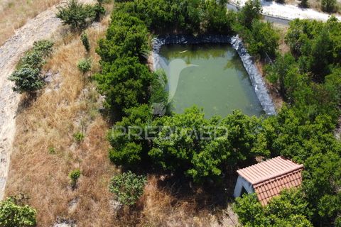 Helårsgrund i Odemira, Beja, Odemira - € 798.000 | Ref: 053925 - foto 8