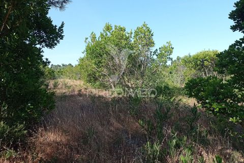 Helårsgrund i Odemira, Beja, Odemira - € 798.000 | Ref: 053925 - foto 13