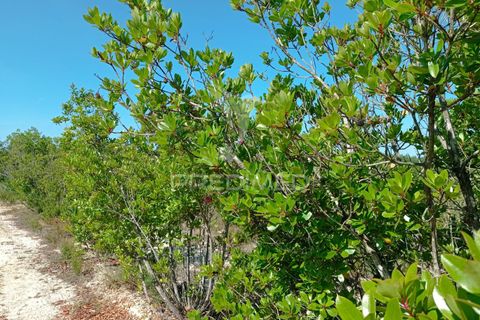 Helårsgrund i Odemira, Beja, Odemira - € 798.000 | Ref: 053925 - foto 14