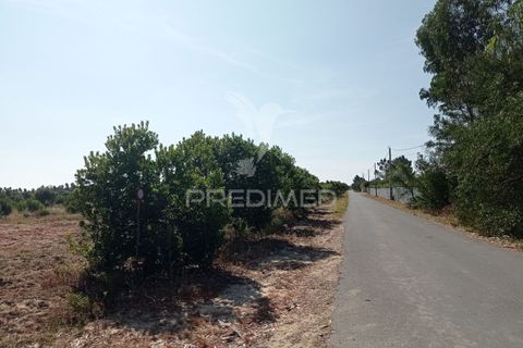 Helårsgrund i Odemira, Beja, Odemira - € 798.000 | Ref: 053925 - foto 15