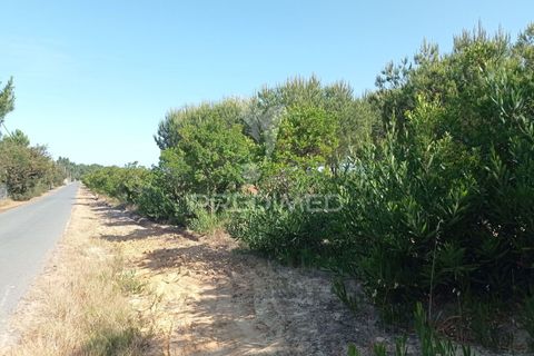 Helårsgrund i Odemira, Beja, Odemira - € 798.000 | Ref: 053925 - foto 16