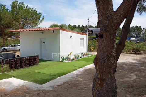 Byhus i Alpiarca, Santarem, Alpiarca - € 120.000 | Ref: 054210 - foto 4