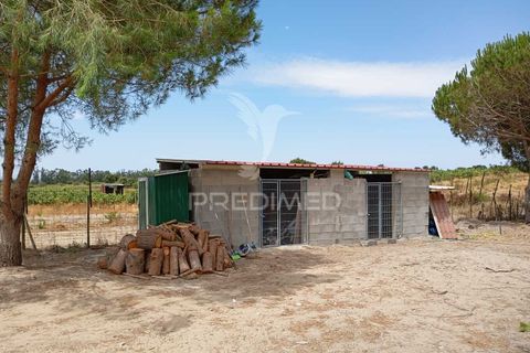 Byhus i Alpiarca, Santarem, Alpiarca - € 120.000 | Ref: 054210 - foto 14