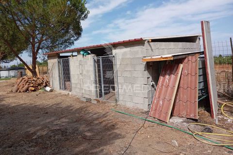 Byhus i Alpiarca, Santarem, Alpiarca - € 120.000 | Ref: 054210 - foto 24