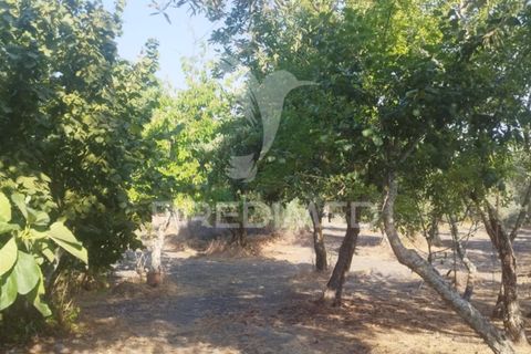 Farm hus i Castelo de Vide, Portalegre, Castelo de Vide - € 79.000 | Ref: 054233 - foto 2