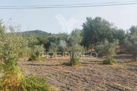 Farm hus i Castelo de Vide, Portalegre, Castelo de Vide - € 79.000 | Ref: 054233 - foto 6