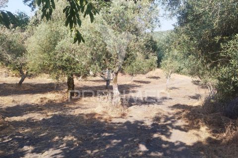 Farm hus i Castelo de Vide, Portalegre, Castelo de Vide - € 79.000 | Ref: 054233 - foto 9