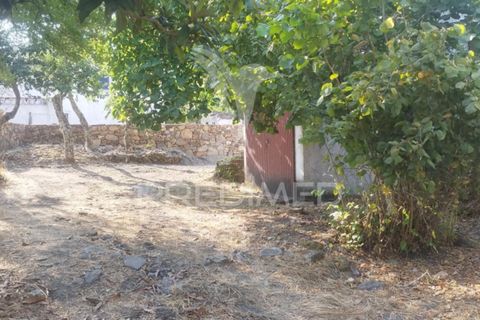 Farm hus i Castelo de Vide, Portalegre, Castelo de Vide - € 79.000 | Ref: 054233 - foto 11