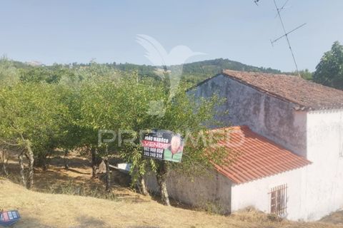 Farm hus i Castelo de Vide, Portalegre, Castelo de Vide - € 79.000 | Ref: 054233 - foto 14