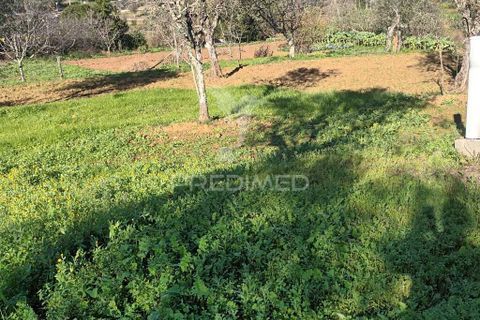Farm hus i Castelo de Vide, Portalegre, Castelo de Vide - € 700.000 | Ref: 054239 - foto 2
