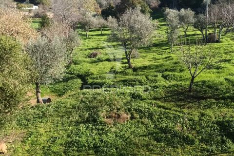 Farm hus i Castelo de Vide, Portalegre, Castelo de Vide - € 700.000 | Ref: 054239 - foto 7