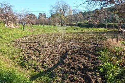 Farm hus i Castelo de Vide, Portalegre, Castelo de Vide - € 700.000 | Ref: 054239 - foto 8