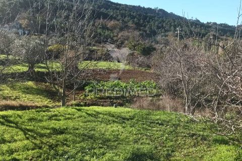 Farm hus i Castelo de Vide, Portalegre, Castelo de Vide - € 700.000 | Ref: 054239 - foto 9