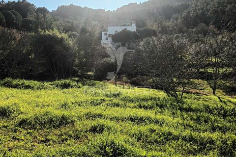 Farm hus i Castelo de Vide, Portalegre, Castelo de Vide - € 700.000 | Ref: 054239 - foto 11