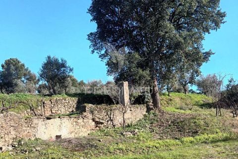 Farm hus i Castelo de Vide, Portalegre, Castelo de Vide - € 700.000 | Ref: 054239 - foto 13