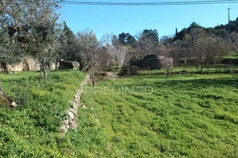 Farm hus i Castelo de Vide, Portalegre, Castelo de Vide - € 700.000 | Ref: 054239 - foto 15