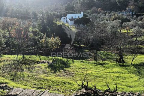 Farm hus i Castelo de Vide, Portalegre, Castelo de Vide - € 700.000 | Ref: 054239 - foto 17