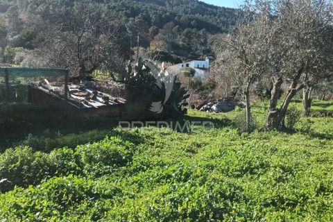 Farm hus i Castelo de Vide, Portalegre, Castelo de Vide - € 700.000 | Ref: 054239 - foto 18