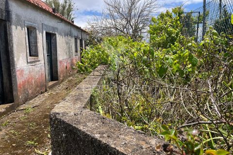Byhus i Calheta, Madeira, Calheta - € 115.000 | Ref: 055427 - foto 1