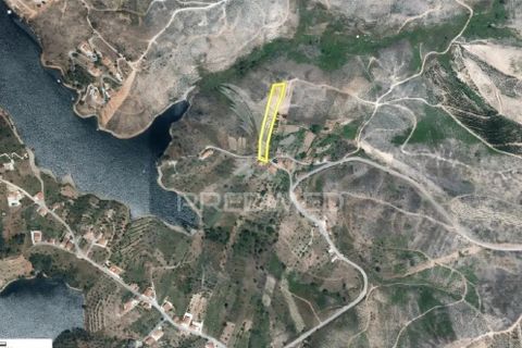 Helårsgrund i Abrantes, Santarem, Abrantes - € 95.000 | Ref: 055466 - foto 3