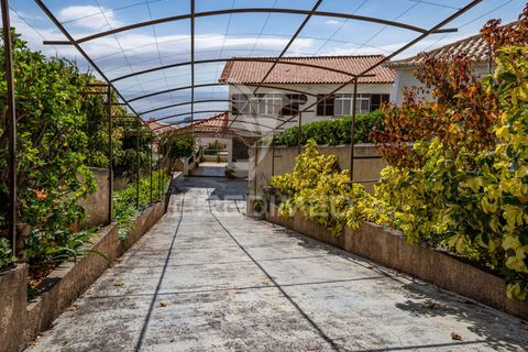 Byhus i Funchal, Madeira, Funchal - € 798.000 | Ref: 055744 - foto 21